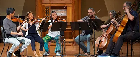 teachers playing stringed instruments