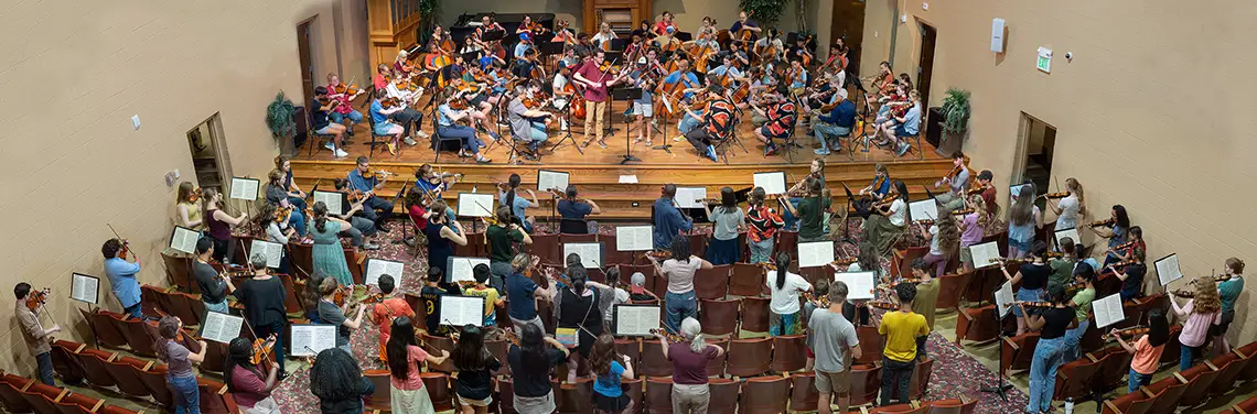 Many people playing stringed instruments